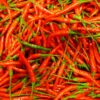 Piments oiseau